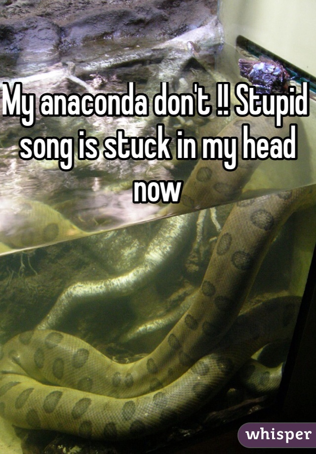 My anaconda don't !! Stupid song is stuck in my head now 