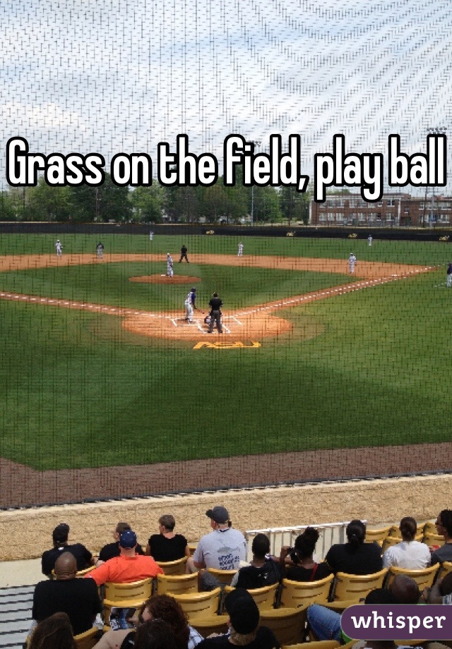 Grass on the field, play ball