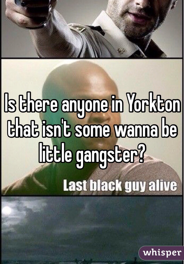Is there anyone in Yorkton that isn't some wanna be little gangster?