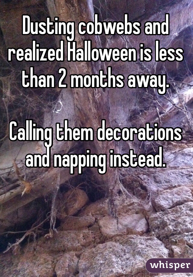 Dusting cobwebs and realized Halloween is less than 2 months away.

Calling them decorations and napping instead.