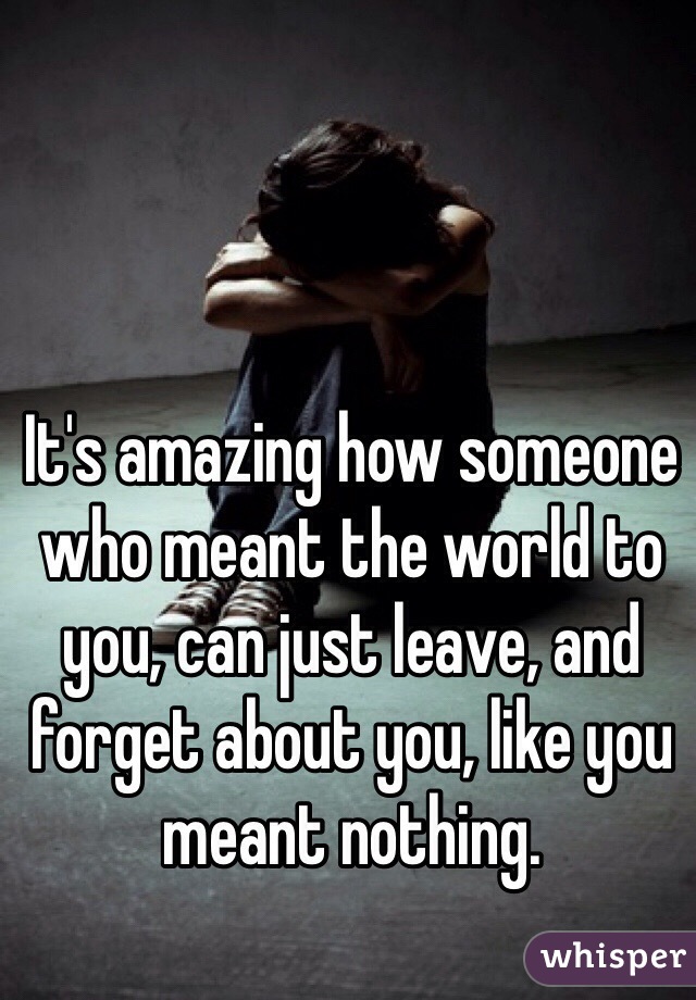 It's amazing how someone who meant the world to you, can just leave, and forget about you, like you meant nothing. 