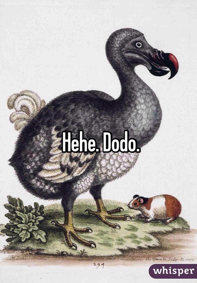 Hehe. Dodo. 