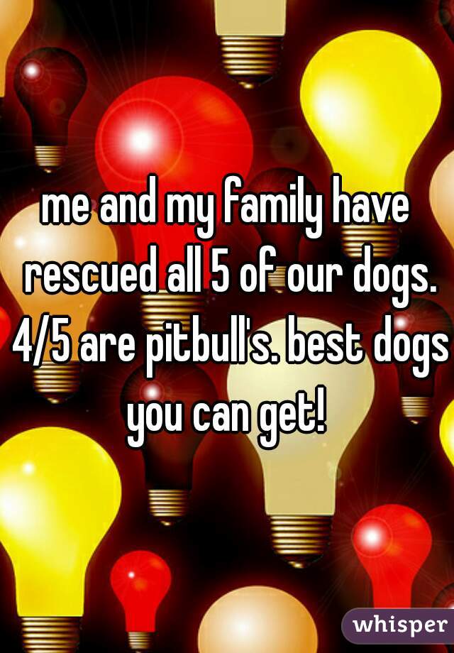 me and my family have rescued all 5 of our dogs. 4/5 are pitbull's. best dogs you can get! 