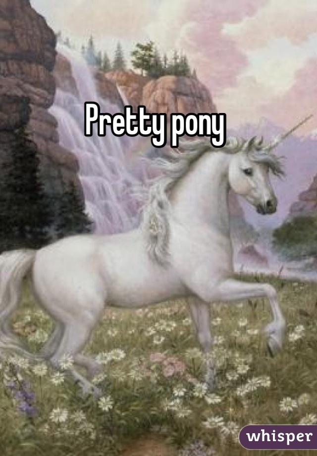 Pretty pony