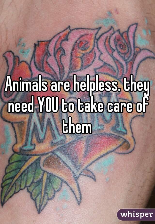 Animals are helpless. they need YOU to take care of them 