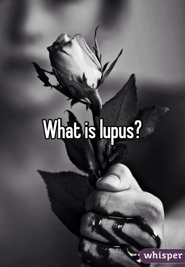 What is lupus?