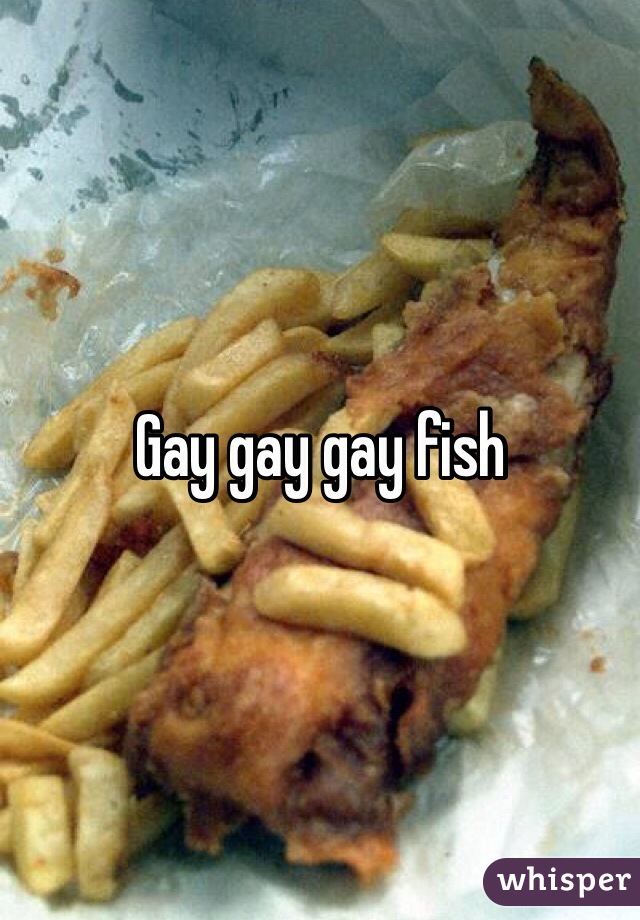 Gay gay gay fish