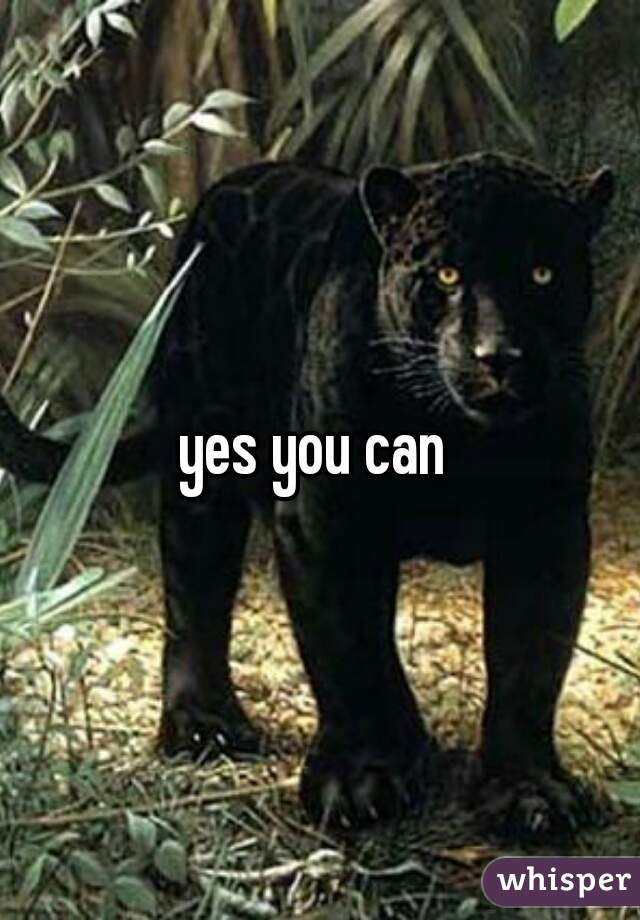 yes you can 