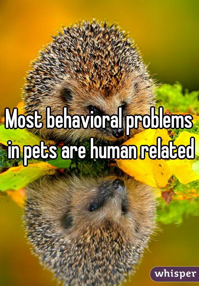 Most behavioral problems in pets are human related