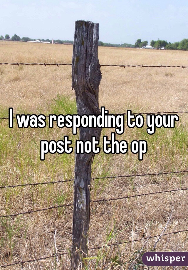 I was responding to your post not the op