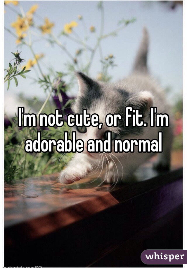 I'm not cute, or fit. I'm adorable and normal