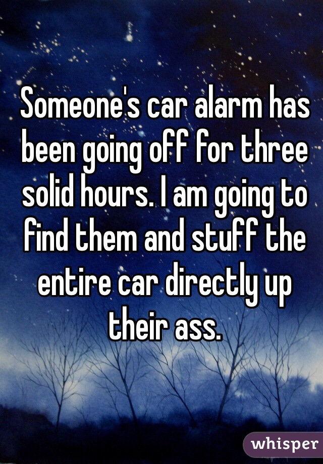 Someone's car alarm has been going off for three solid hours. I am going to find them and stuff the entire car directly up their ass. 