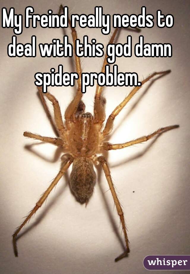 My freind really needs to deal with this god damn spider problem. 