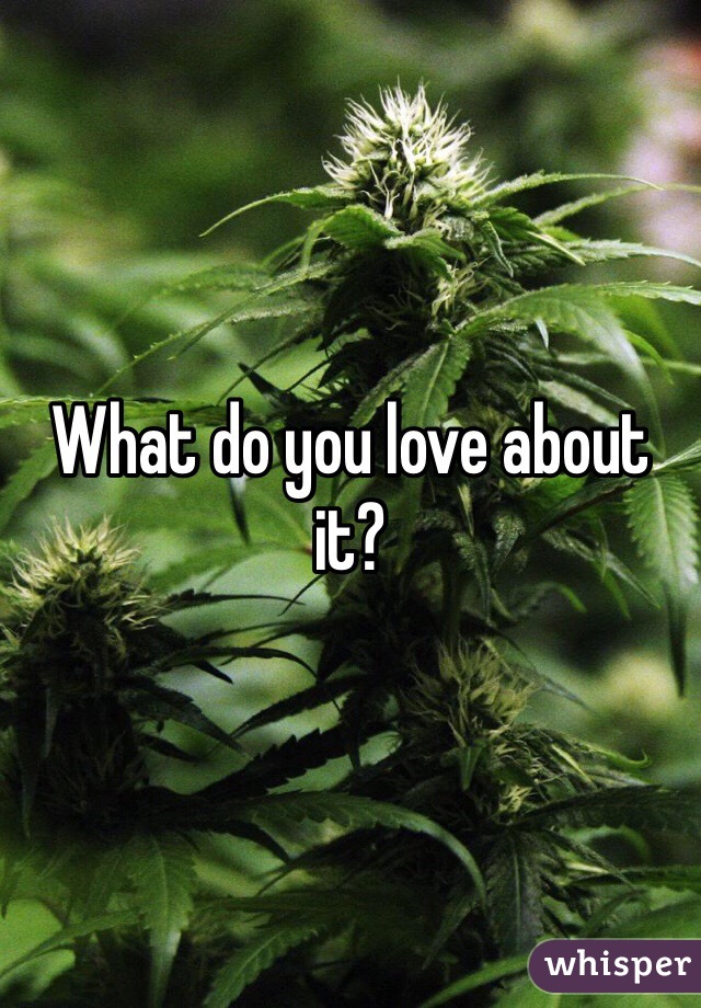 What do you love about it?