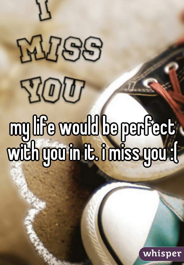 my life would be perfect with you in it. i miss you :( 