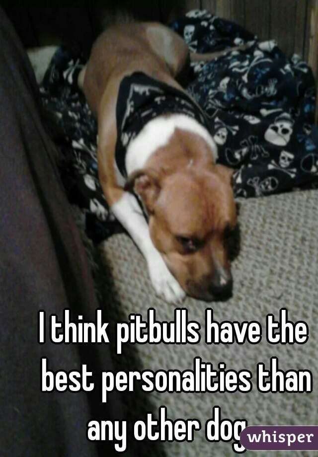 I think pitbulls have the best personalities than any other dog   
