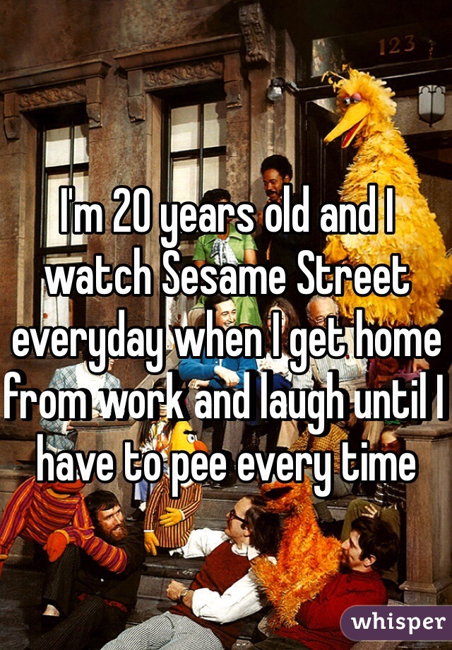 I'm 20 years old and I watch Sesame Street everyday when I get home from work and laugh until I have to pee every time