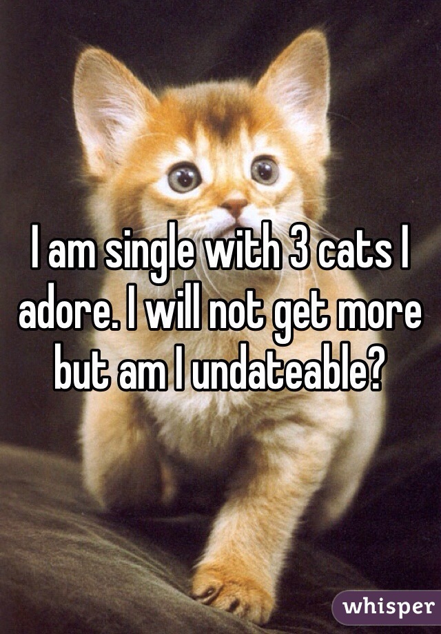 I am single with 3 cats I adore. I will not get more but am I undateable? 