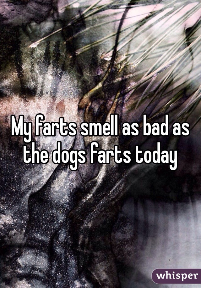 My farts smell as bad as the dogs farts today 