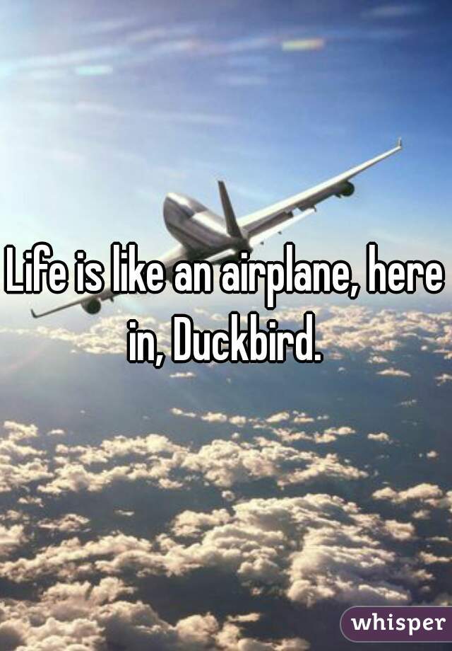 Life is like an airplane, here in, Duckbird. 