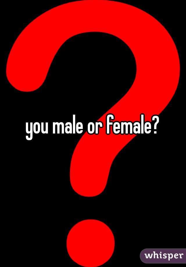you male or female?