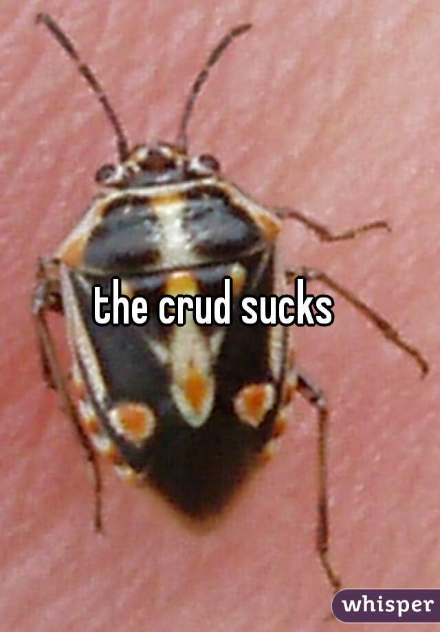 the crud sucks 