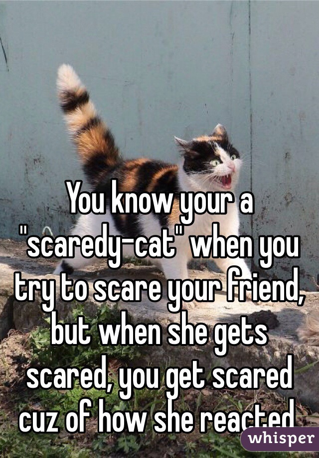 You know your a "scaredy-cat" when you try to scare your friend, but when she gets scared, you get scared cuz of how she reacted.