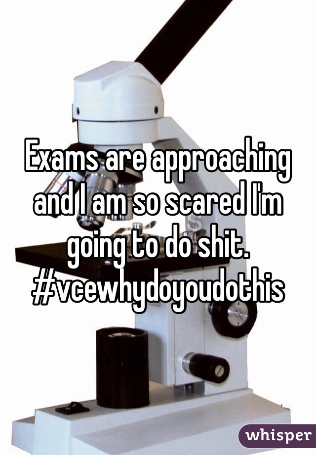 Exams are approaching and I am so scared I'm going to do shit. #vcewhydoyoudothis 