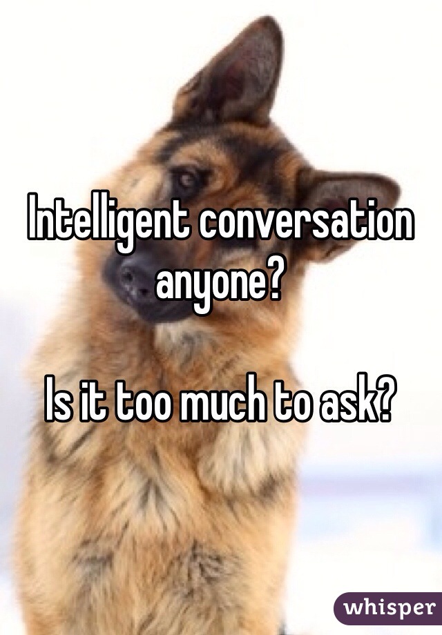 Intelligent conversation anyone?

Is it too much to ask?