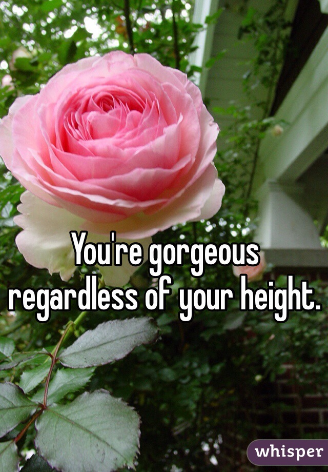 You're gorgeous regardless of your height. 