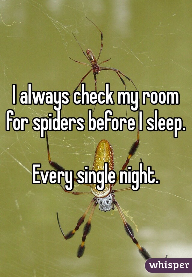 I always check my room for spiders before I sleep. 

Every single night. 