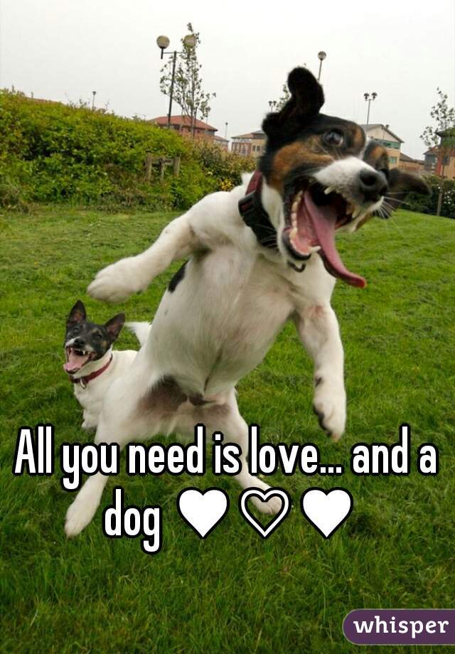All you need is love... and a dog ♥♡♥