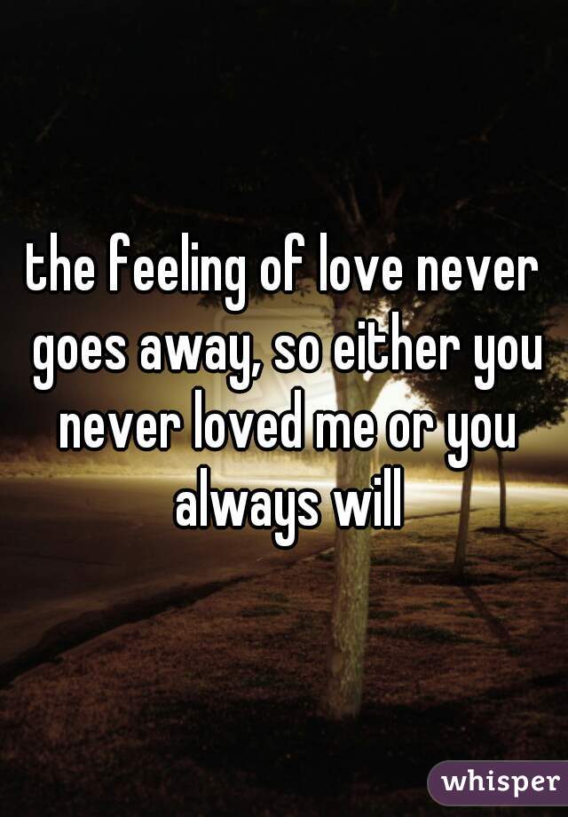 the feeling of love never goes away, so either you never loved me or you always will