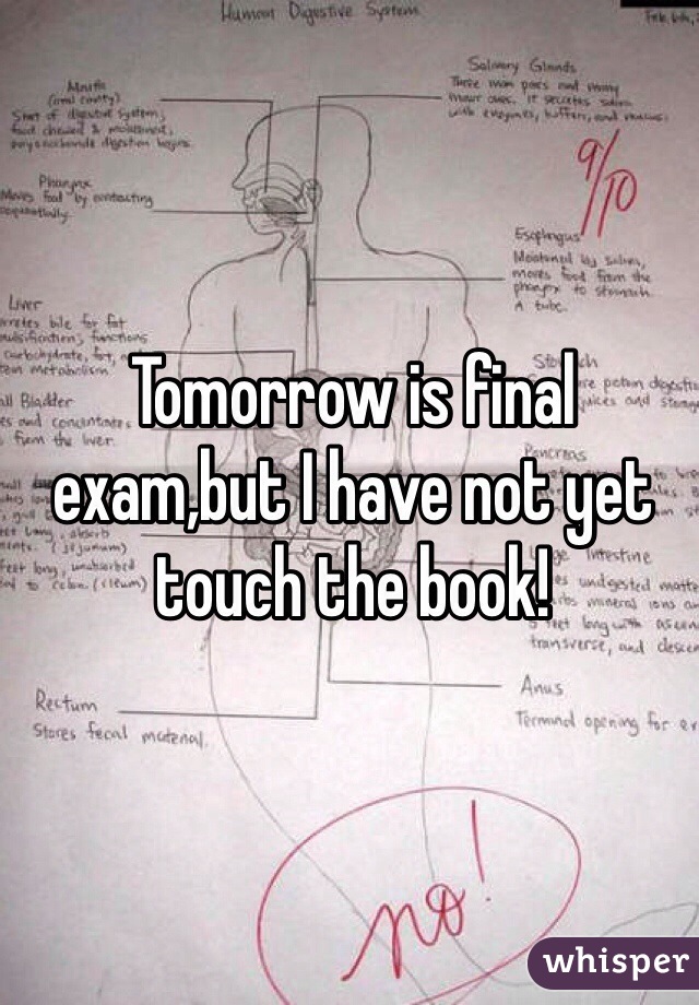 Tomorrow is final exam,but I have not yet touch the book!