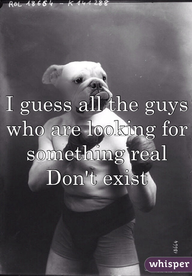 I guess all the guys who are looking for something real 
Don't exist 