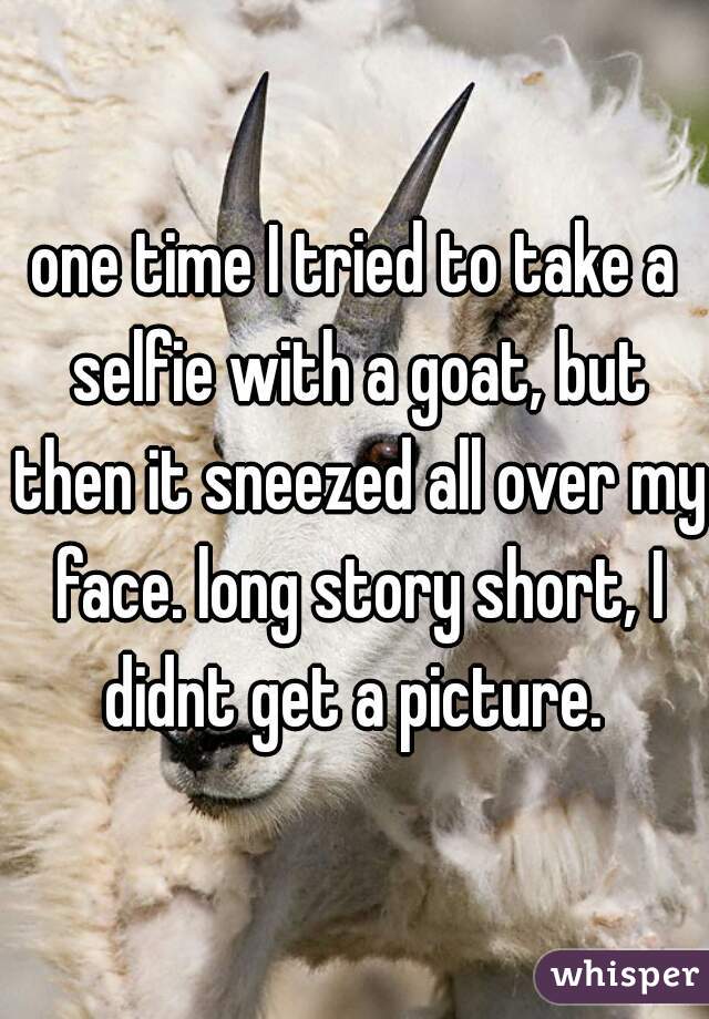one time I tried to take a selfie with a goat, but then it sneezed all over my face. long story short, I didnt get a picture. 