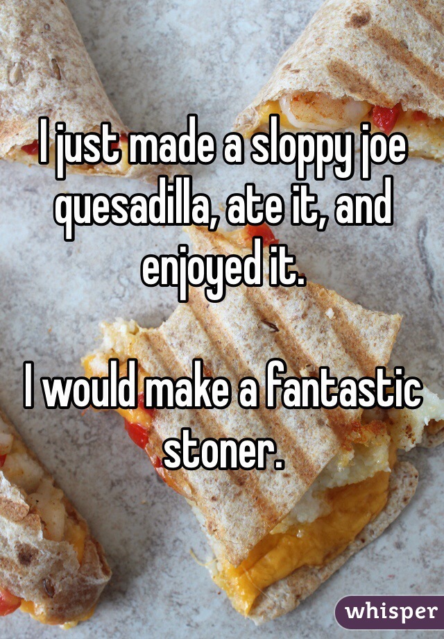 I just made a sloppy joe quesadilla, ate it, and enjoyed it. 

I would make a fantastic stoner. 