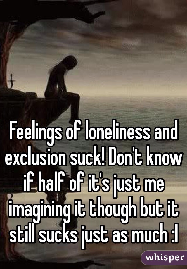 Feelings of loneliness and exclusion suck! Don't know if half of it's just me imagining it though but it still sucks just as much :I