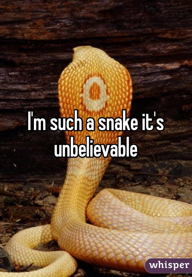 I'm such a snake it's unbelievable 