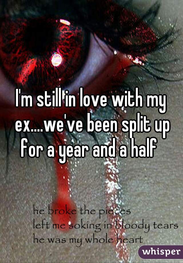I'm still in love with my ex....we've been split up for a year and a half  