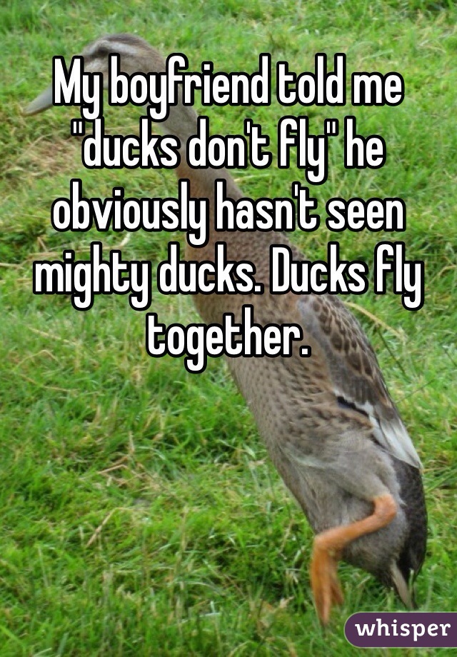 My boyfriend told me "ducks don't fly" he obviously hasn't seen mighty ducks. Ducks fly together. 