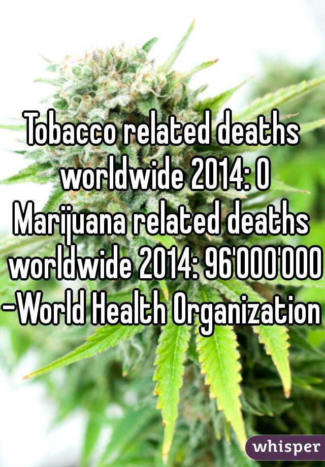 Tobacco related deaths worldwide 2014: 0

Marijuana related deaths worldwide 2014: 96'000'000

-World Health Organization 