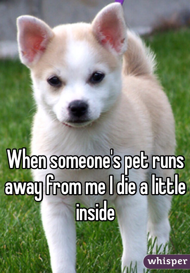 When someone's pet runs away from me I die a little inside