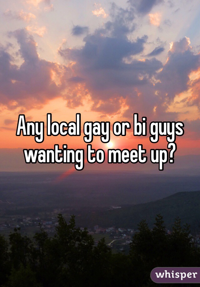 Any local gay or bi guys wanting to meet up?