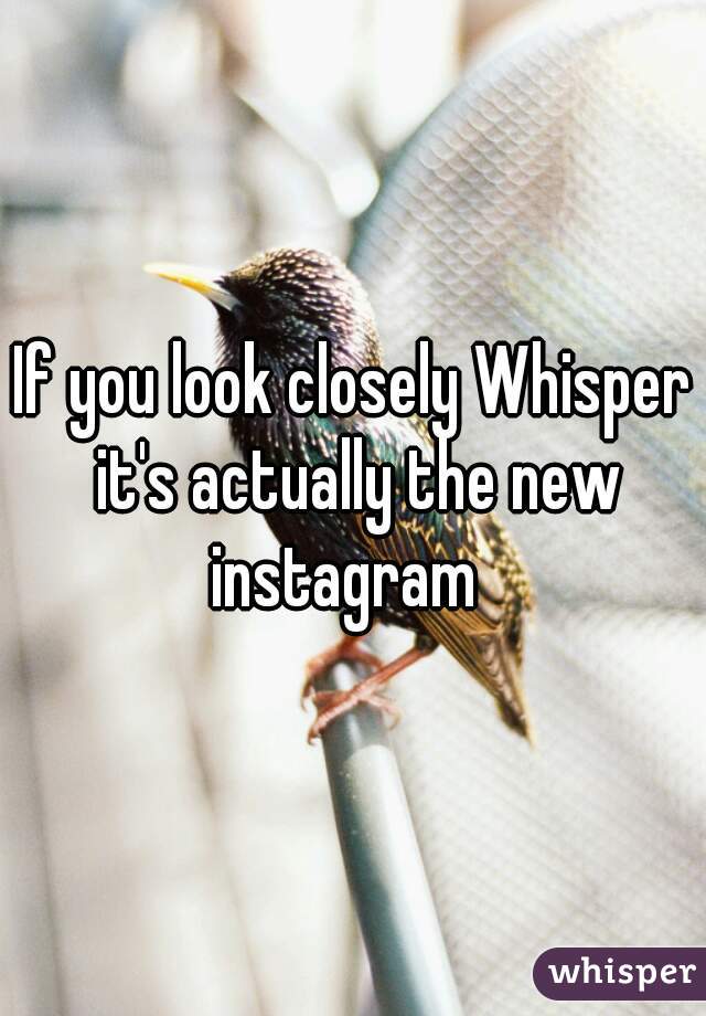 If you look closely Whisper it's actually the new instagram  