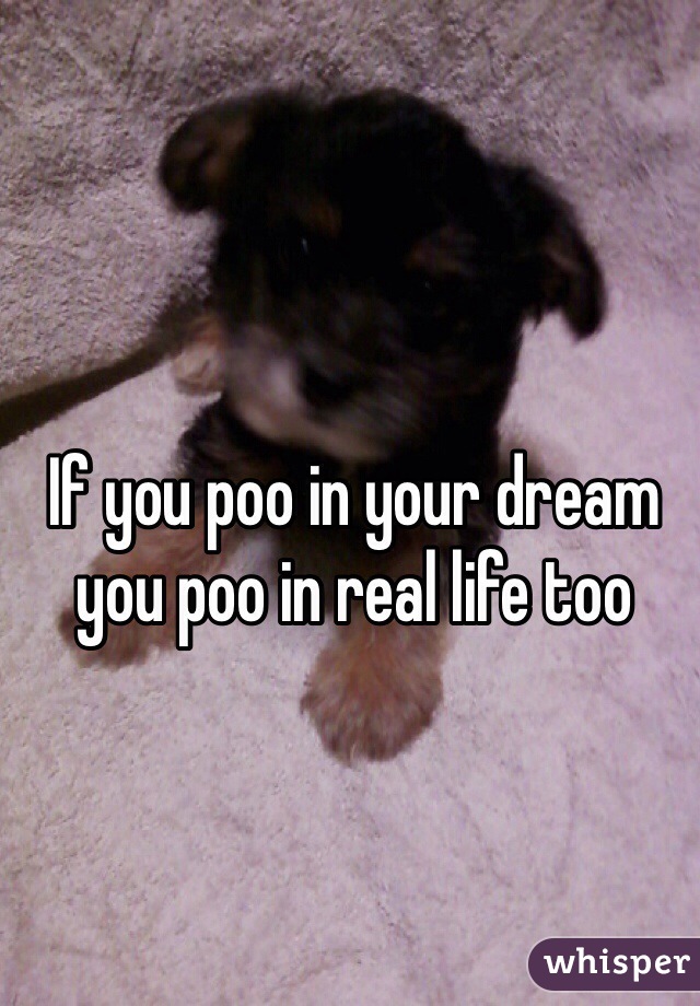 If you poo in your dream you poo in real life too
