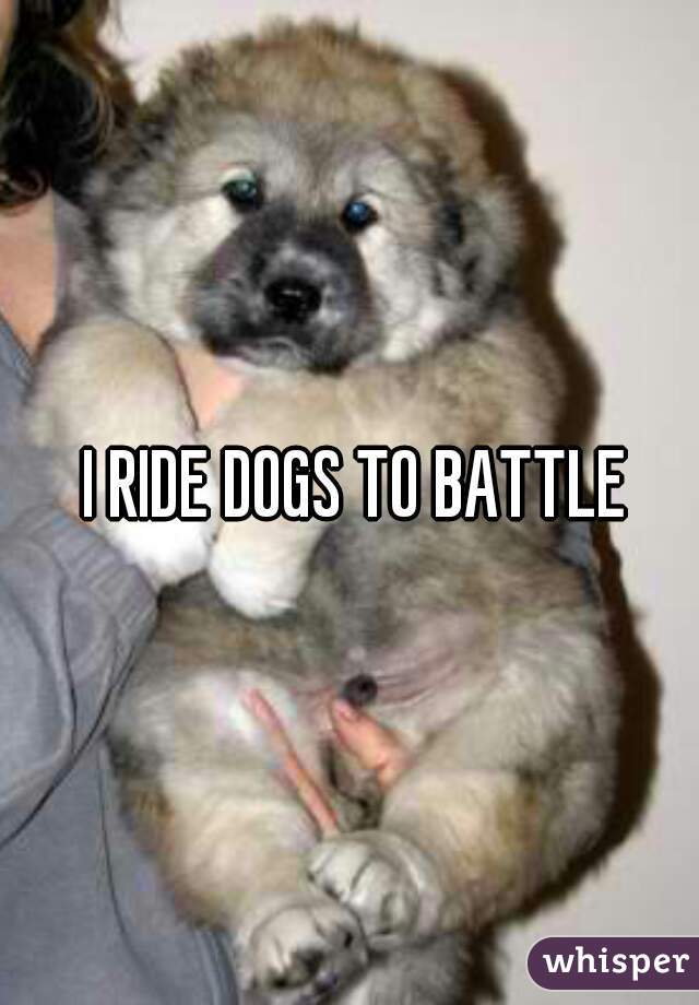 I RIDE DOGS TO BATTLE