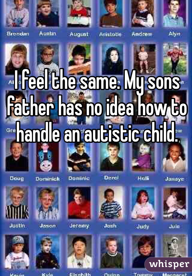 I feel the same. My sons father has no idea how to handle an autistic child. 