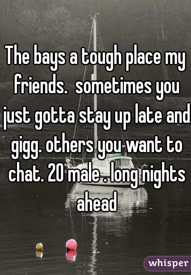The bays a tough place my friends.  sometimes you just gotta stay up late and gigg. others you want to chat. 20 male . long nights ahead