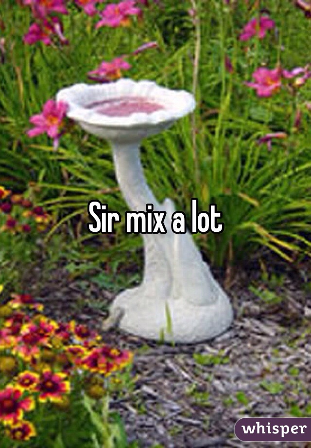 Sir mix a lot